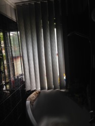 3-� �.�� � ������ ���� 2