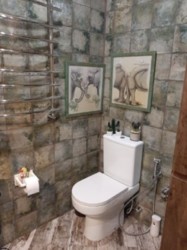 ��������� �������� ������ �������, �����������, �����������, ������ ���� 13