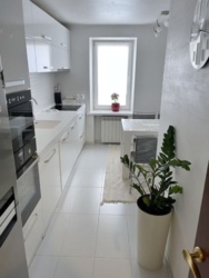 ��������� �������� �������� ����, �����������, �����������, �������� ���� 3