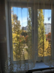 ��������� �������� �����������, �����������, ������ ���� 4