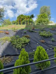 ��������� �������� �������, 12 �, ��. 91, �����������, �����������, �������� ���� 6