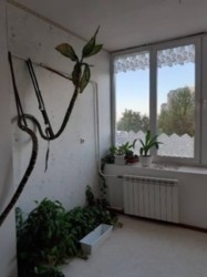 ������� ������ �������� ��� ����, �����. + ����. ��� �����. ��� ����� ���� 1