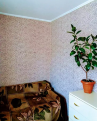 ��������� �������� �����������, �����������, ���-����� ���� 4