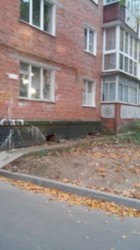 ��������� �������� �����������, ����������� ���� 2