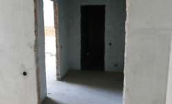 ��������� �������� �������������������� �����, �����������, �����������, �������� ���� 3