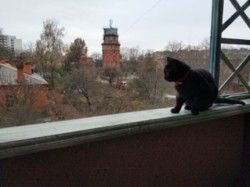 Продается квартира Гастелло, Хмельницкий, Хмельницкая, Дубово фото 7 Продается квартира Гастелло, Хмельницкий, Хмельницкая, Дубово фото 7