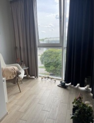 ��������� �������� �������, 20/1, �����������, �����������, �������� ���� 5