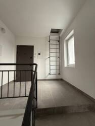 ������ ���������� ������ ���� 12