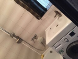 Продаж 1 к.кв Виставка фото 7 Продаж 1 к.кв Виставка фото 7