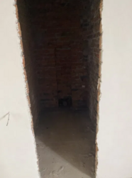 ��������� �������� ������ �������, �����������, �����������, ������ ���� 11