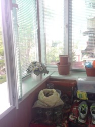 3-� �.�� � ������ ���� 6