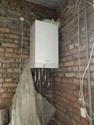 ��������� �������� �����������, 8/2, �����������, �����������, ���-����� ���� 11