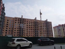 ��������� �������� �����������, ����������� ���� 3