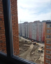 ��������� �������� �����������, �����������, ������ ���� 7