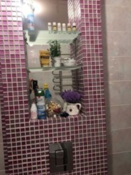 ��������� �������� �����������, �����������, ����� ���� 18