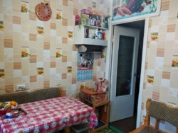 ��������� �������� ���������, 36, �����������, �����������, �� ������ ���� 16