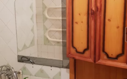 ��������� �������� �������� ����, �����������, �����������, �������� ���� 7