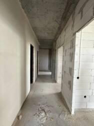 ��������� �������� �������, 12 �, ��. 91, �����������, �����������, �������� ���� 11