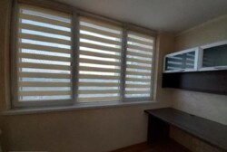 ��������� �������� �����������, �����������, ������ ���� 8