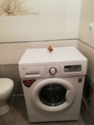 Продается квартира Проскурівського підпілля, Хмельницкий, Хмельницкая, Центр фото 15 Продается квартира Проскурівського підпілля, Хмельницкий, Хмельницкая, Центр фото 15