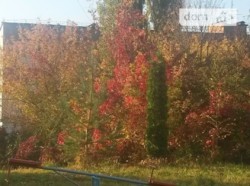 Продается квартира Свободы, Хмельницкий, Хмельницкая, Выставка фото 8 Продается квартира Свободы, Хмельницкий, Хмельницкая, Выставка фото 8