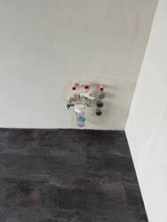 ��������� �������� �����������, 11/3, �����������, ����������� ���� 31