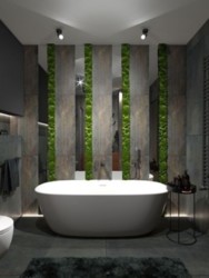 ������������ �������� ���� 2