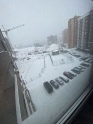 ��������� �������� ������ �������, �����������, �����������, ������ ���� 3