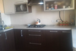 ��������� �������� �����������, �����������, ������ ���� 3