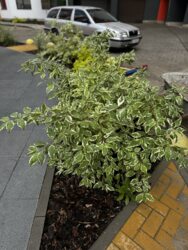 продаж 1 к кв з шикарним виглядом з вікна фото 20 продаж 1 к кв з шикарним виглядом з вікна фото 20