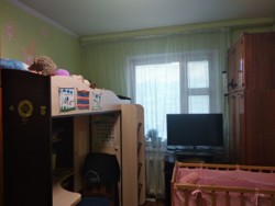 ��������� �������� ���������, 36, �����������, �����������, �� ������ ���� 7