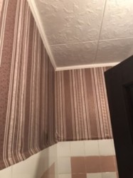 Продается квартира Мазура, Хмельницкий, Хмельницкая, Выставка фото 15 Продается квартира Мазура, Хмельницкий, Хмельницкая, Выставка фото 15