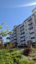 ��������� �������� �������������������� ����, 2�, �����������, �����������, �������������� ���� 29