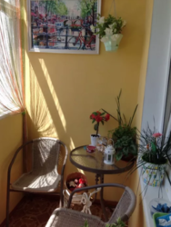 ��������� �������� �����������, �����������, ������ ���� 6