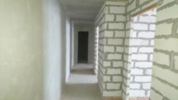 ��������� �������� ���������, �����������, �����������, ������ ���� 3