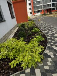 продаж 1 к кв з шикарним виглядом з вікна фото 13 продаж 1 к кв з шикарним виглядом з вікна фото 13