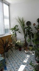 Перспективная 3к квартира 106 кв м недалеко от центра! фото 2 Перспективная 3к квартира 106 кв м недалеко от центра! фото 2