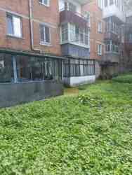 ��������� �������� ����������, 68, �����������, �����������, ����� ���� 1