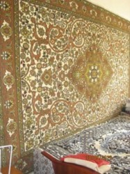 ��������� �������� ��������, �����������, �����������, ����� ���� 19