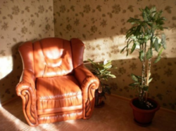 ��������� �������� �����������, �����������, ������ ���� 1