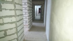 ��������� �������� ���������, �����������, �����������, ������ ���� 2