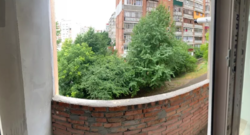 ��������� �������� �����������, �����������, �������� ���� 6