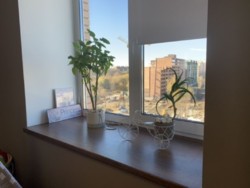 ��������� �������� �����������, �����������, ����� ���� 9