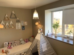 ��������� �������� �����������, �����������, ����� ���� 13