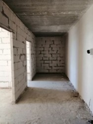 ������ 2� �������� , ����� ����� ���� 3