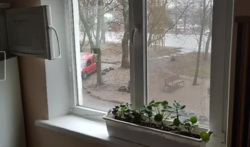 ��������� �������� �������� ����, �����������, �����������, �������� ���� 3