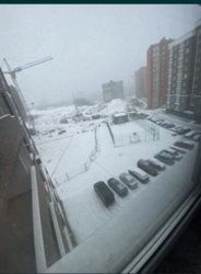 ��������� �������� ������ �������, �����������, �����������, ������ ���� 9