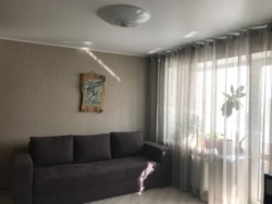 ��������� �������� ������ �������, �����������, �����������, �������� ���� 4