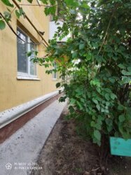 2-х комнатная квартира. Центр фото 16 2-х комнатная квартира. Центр фото 16