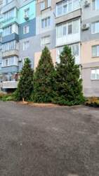 Продаж 2к., квартири по вул. Попова 11. фото 8 Продаж 2к., квартири по вул. Попова 11. фото 8